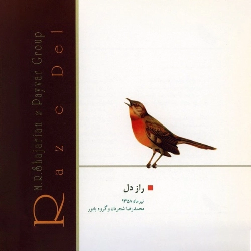 Cover artwork for Renge Dashti by Mohammad Reza Shajarian